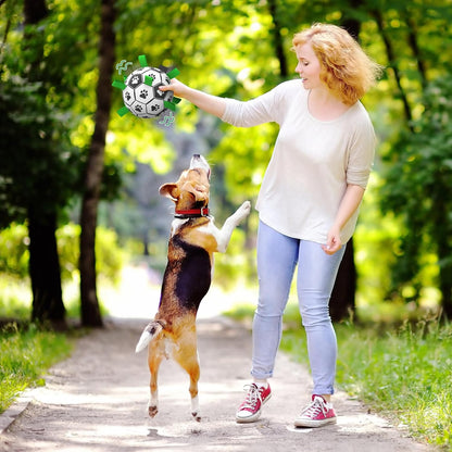 Dog Soccer Ball